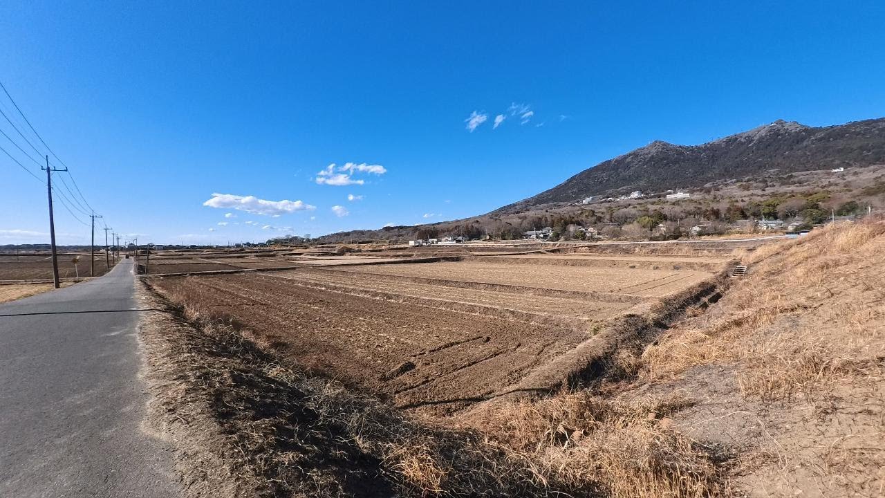 【つくば市の臼井付近の田んぼ】を一周してみた Part 2（2026/02/01）