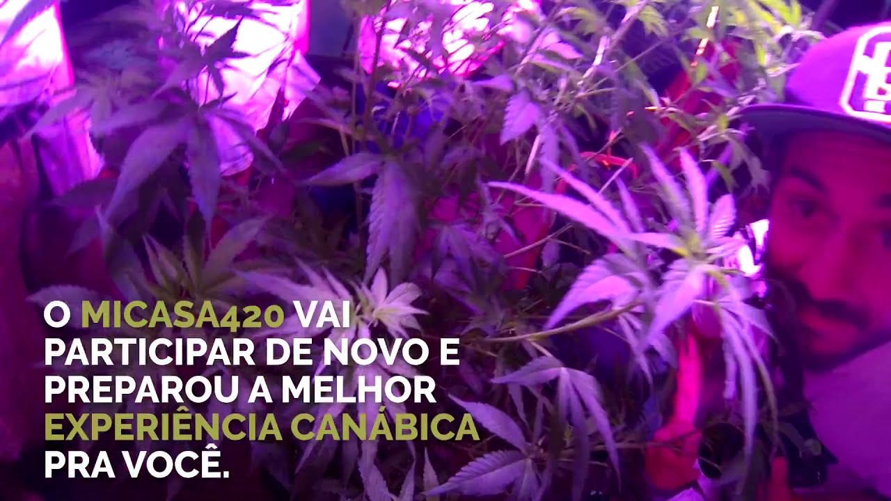 Expocannabis Uruguai 2016