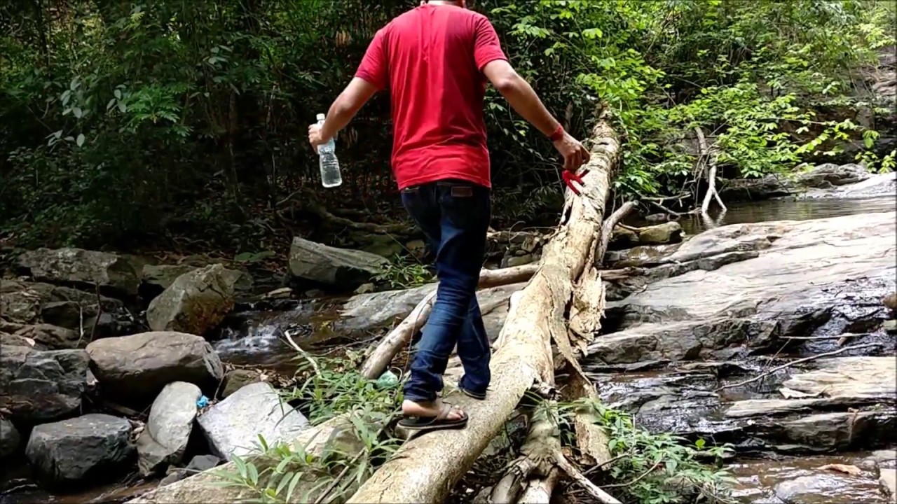 Didupe Waterfalls Charmadi Ghat | Roots of India |