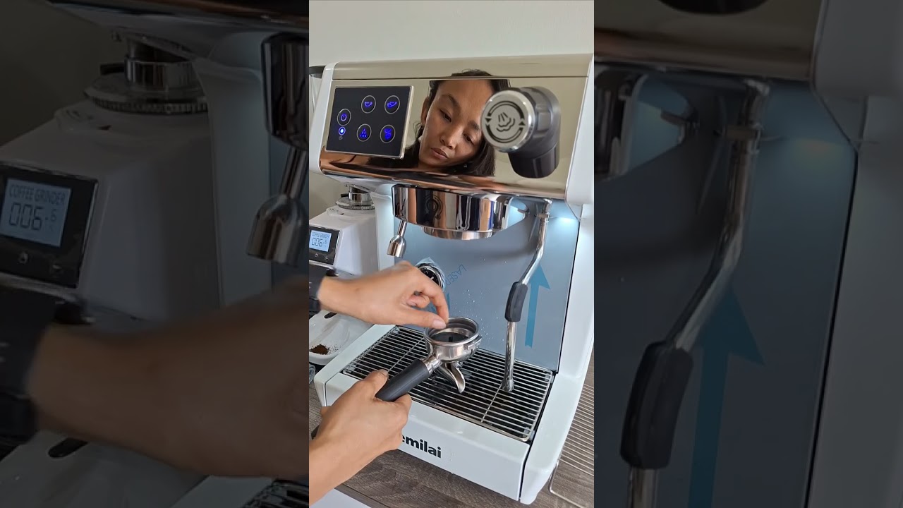 How to clean your Gemilai 3200d pro or how to backflush you espresso machine