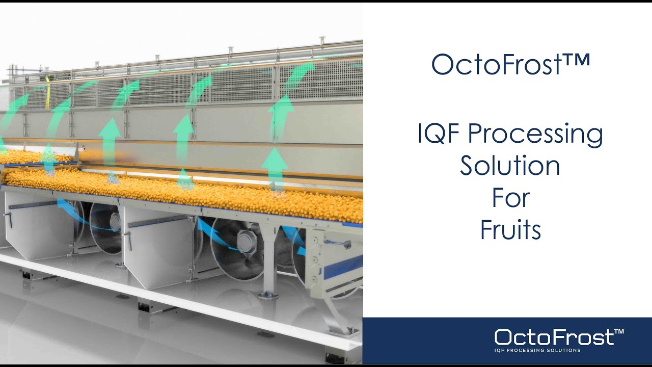 OctoFrost™ IQF Processing for Fruits and Tropical Fruits | IQF Freezing Mango | 3D Visualization