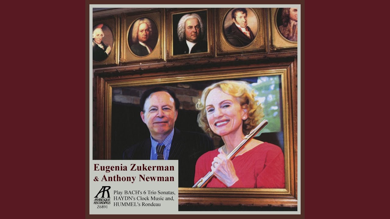 Sonata No.1 in E-Flat Major, BWV 525: I. Allegro Moderato