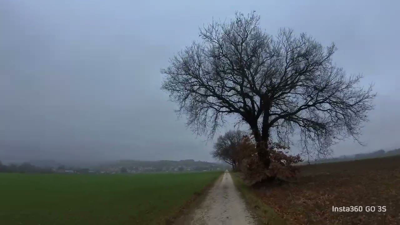 Giro grigio 