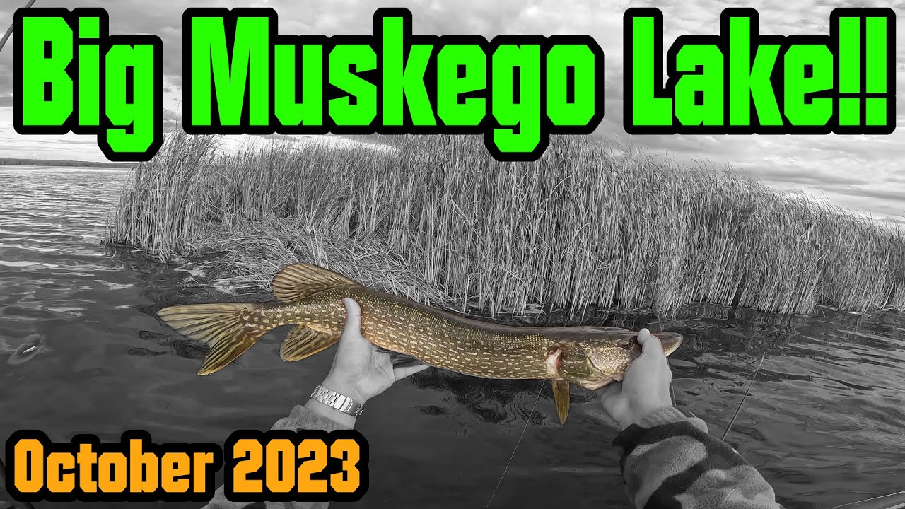 Bass and Pike on Big Muskego Lake [BIG MO]