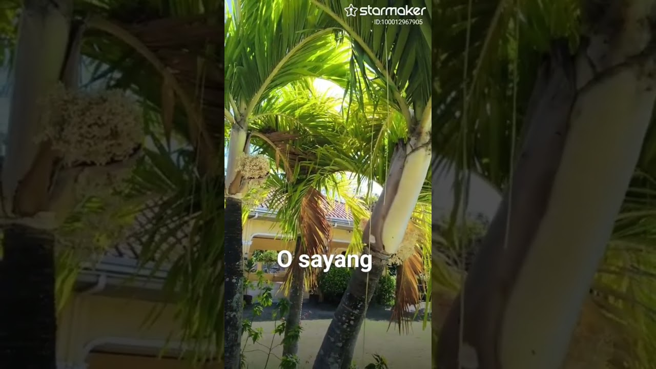 Sayang