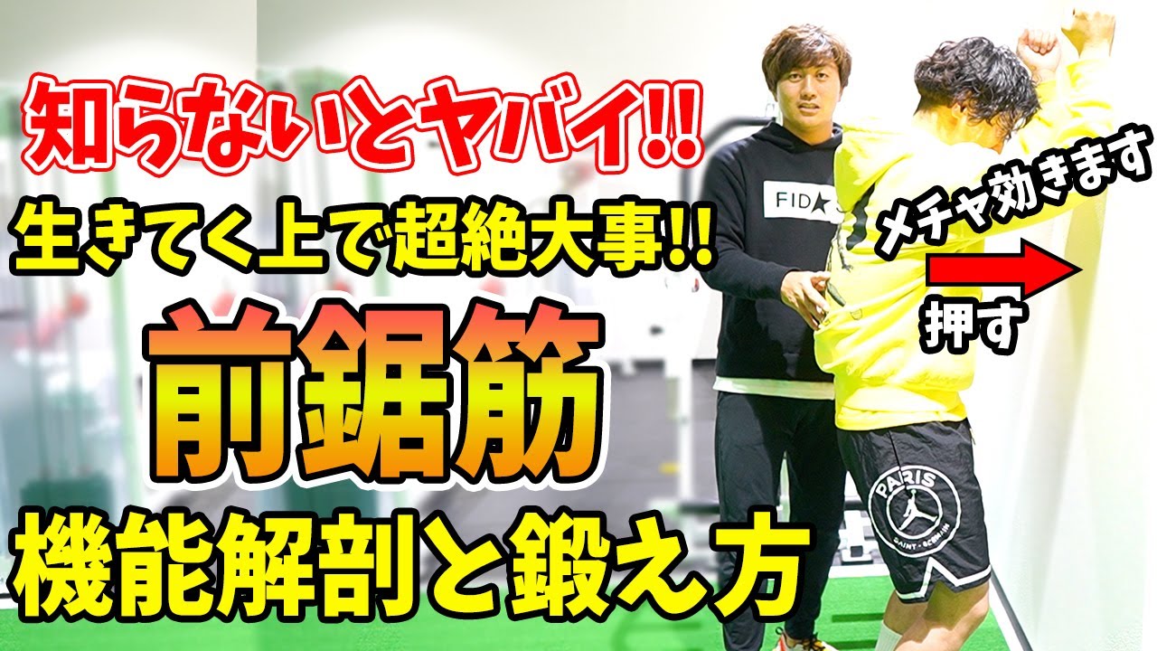 【前鋸筋】意外と知られていない！呼吸やパフォーマンスに超絶必須の前鋸筋の機能や鍛え方を日本一わかりやすく解説します#Youtube解剖大学