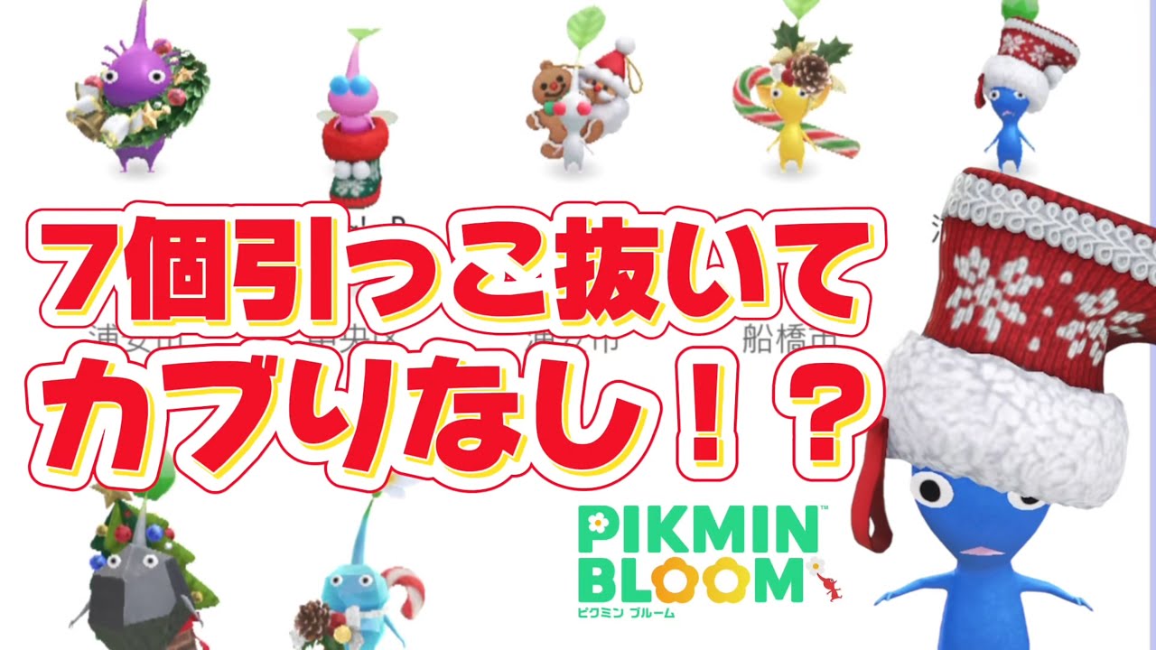 【こんなの初めて】7連続でダブり無し！？オーナメントデコピクミン引っこ抜きで奇跡を起こす！！【#ピクミンブルーム / #PikminBloom 】