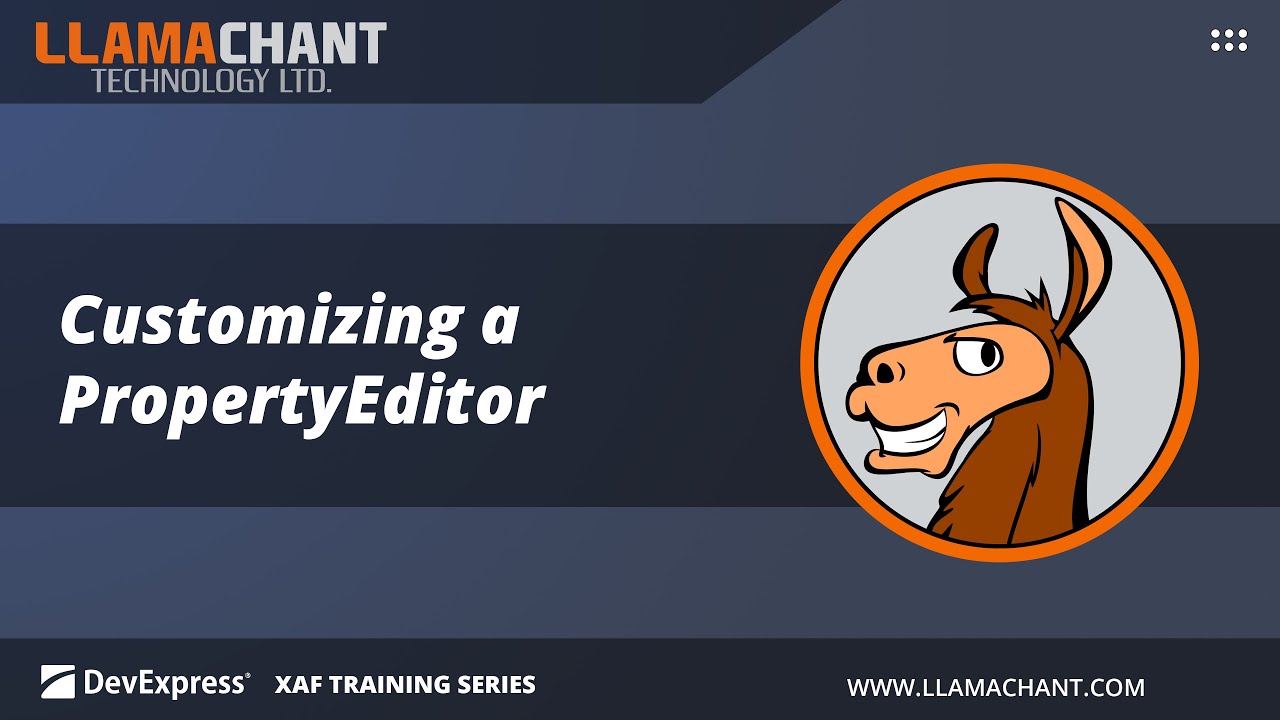 Customizing a PropertyEditor - DevExpress XAF