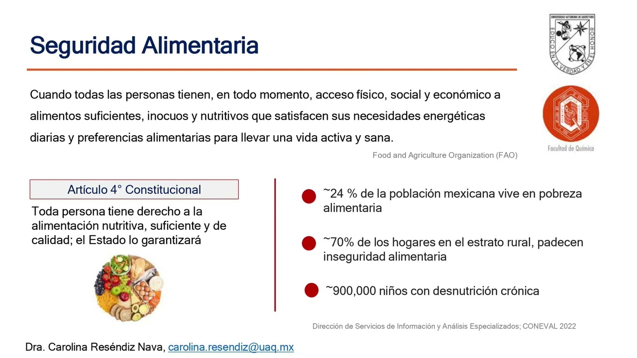 Seguridad Alimentaria en México | Alimentos Consciencia