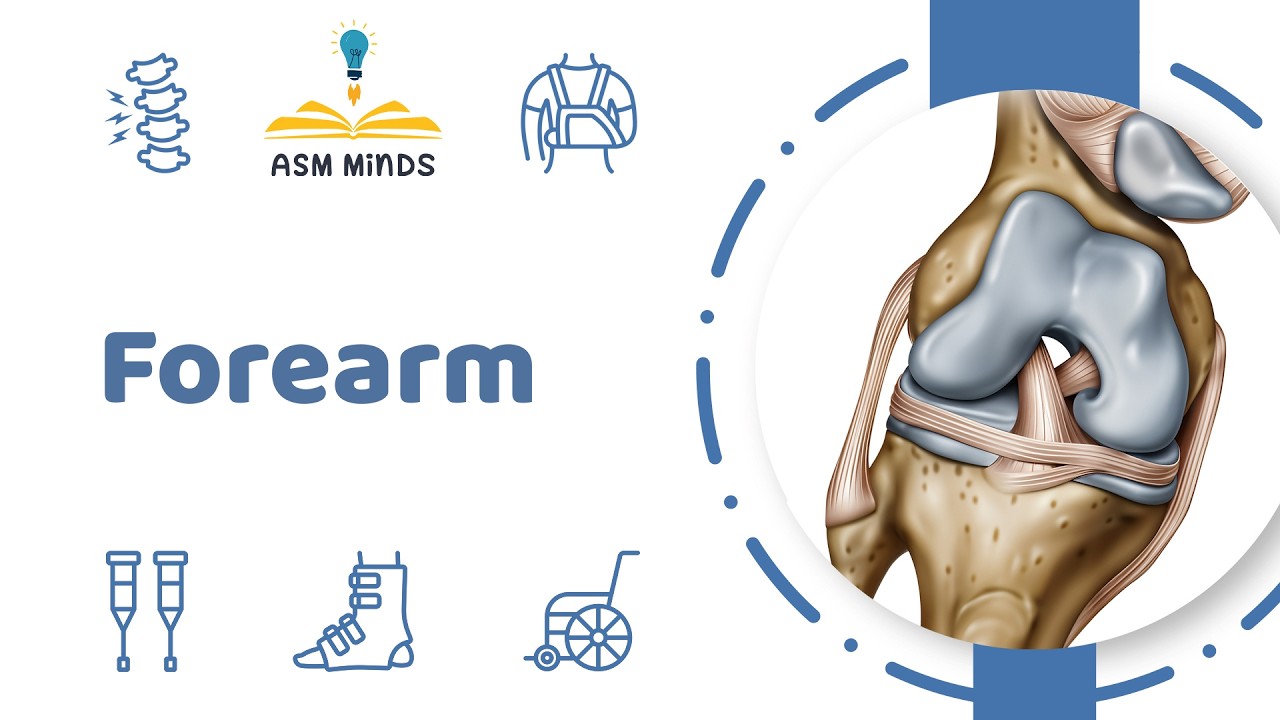 6 - Forearm - Orthopedics Course - By Dr.Sofy Said
