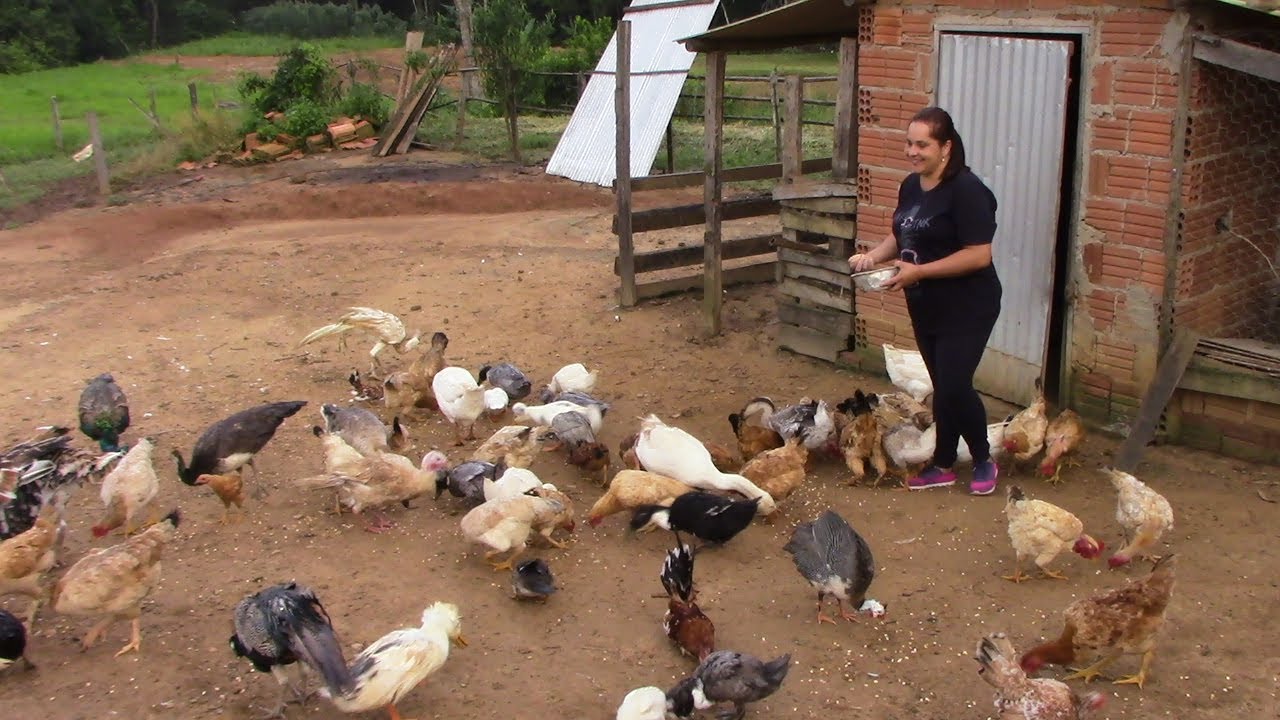 VIDA NA ROÇA - O SÍTIO DA ADRIANA