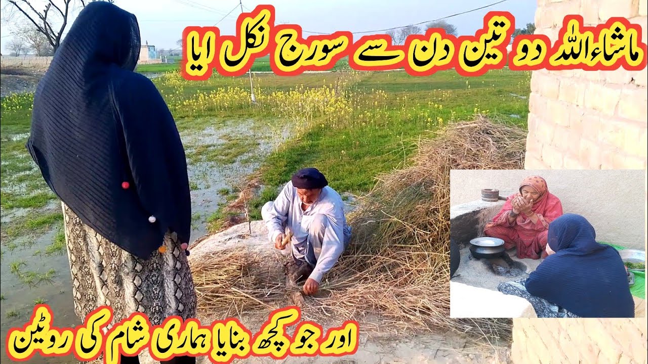 Mashallah 2 3 din se Suraj Nikal aaya aur jo kuchh banaya hai hamari sham ki routine