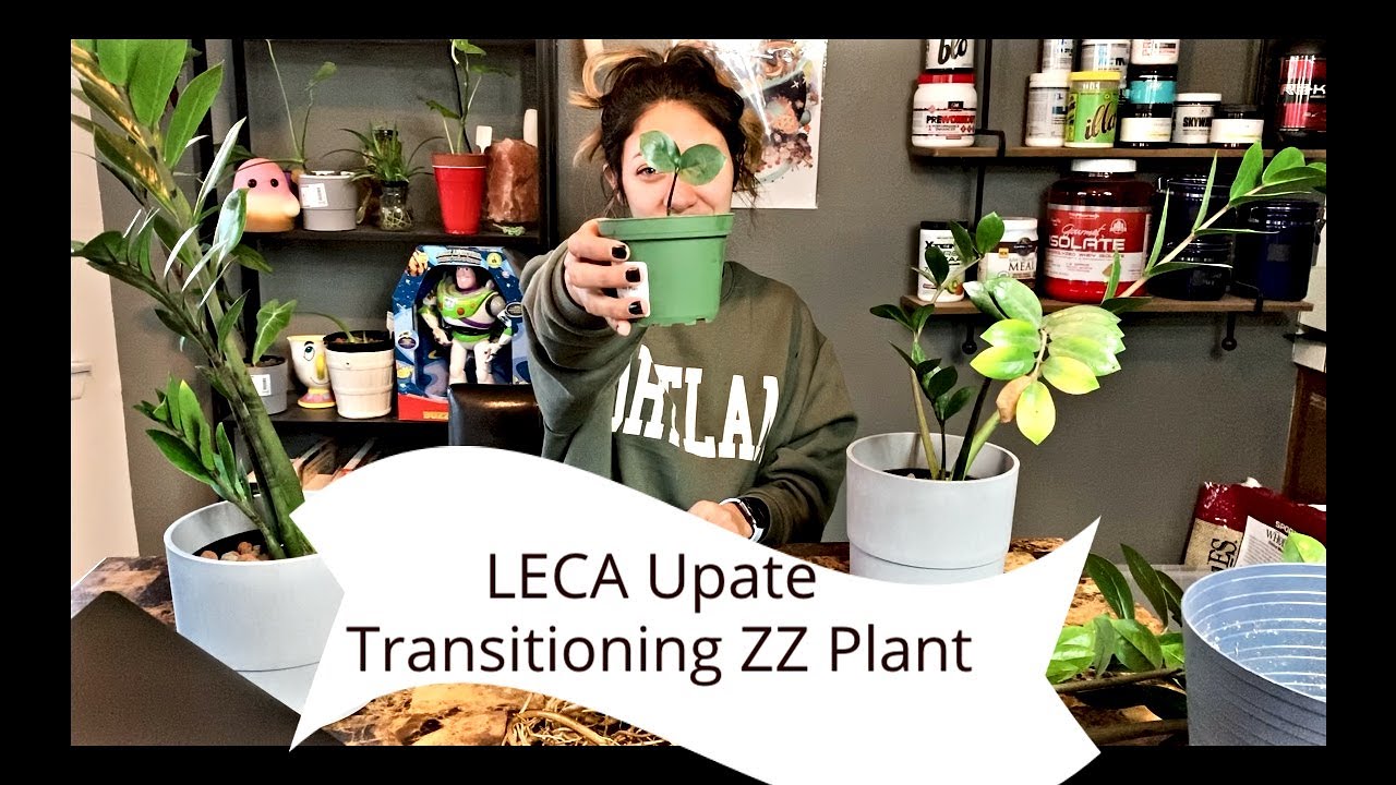 LECA UPDATE ZZ PLANT TRANSITION XMAS EXCHANGE
