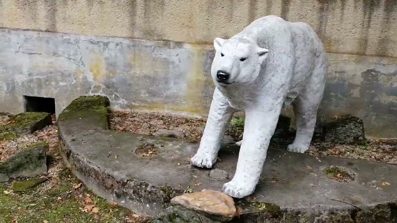 Zoo Liberec / Rundgang / #zoo #liberec #czech #sightseeing