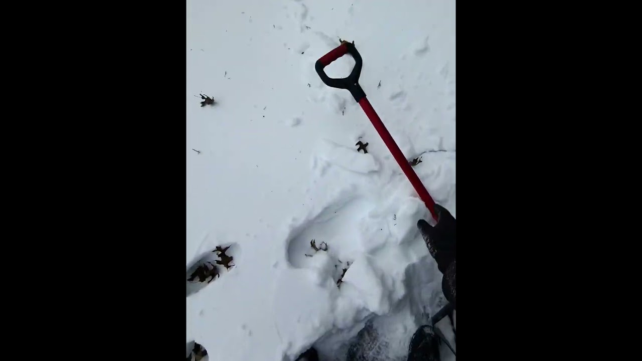 Meta view on Snow cleaning
