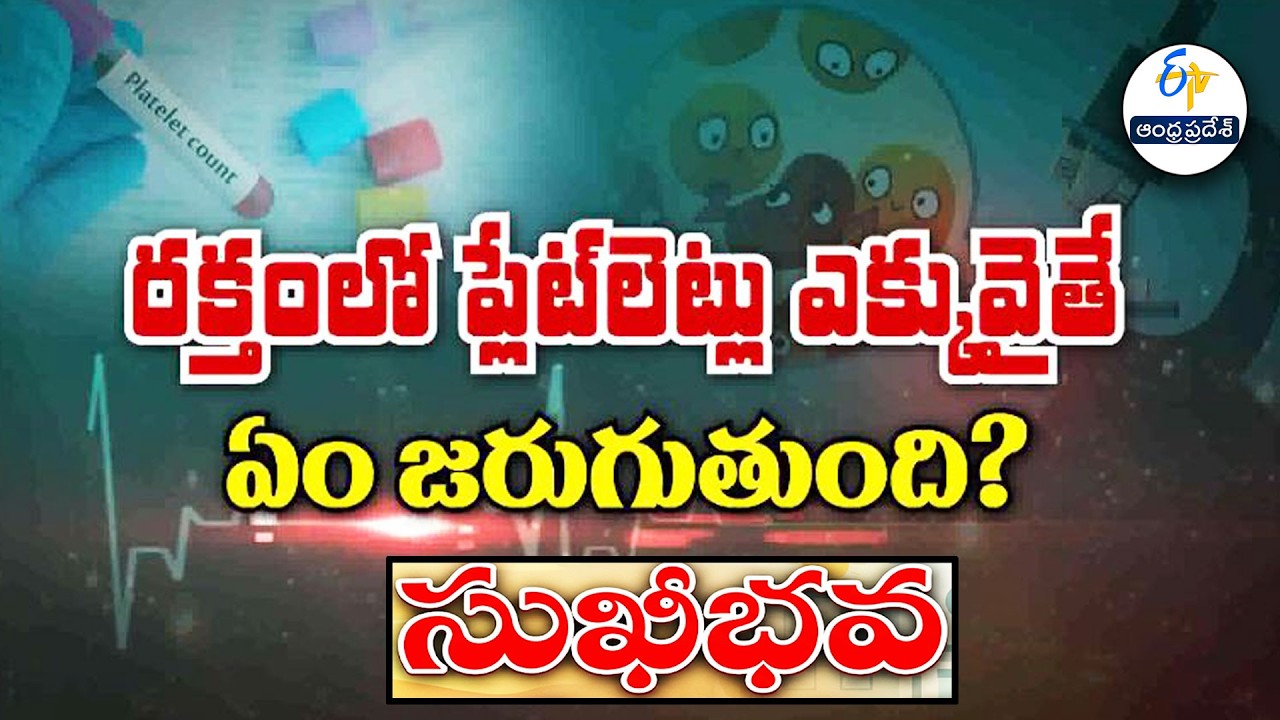 రక్తంలో ప్లేట్ లెట్ల ఎక్కువైతే ఏం జరుగుతుంది?| What if platelets high in Blood? | Sukhibhava |ETV AP