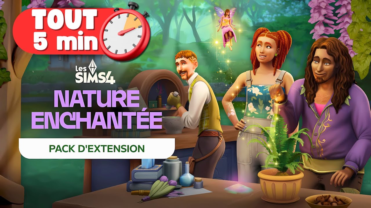 TOUT SAVOIR en 5 MINUTES sur l'EXTENSION 