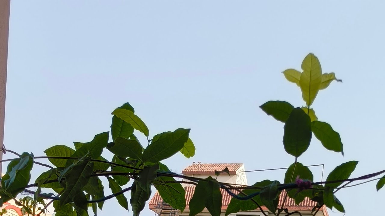 সন্ধ্যার লাইভে সবাইকে স্বাগতম কাকীমার টুকি টাকি Kakimer Tukitaki is live