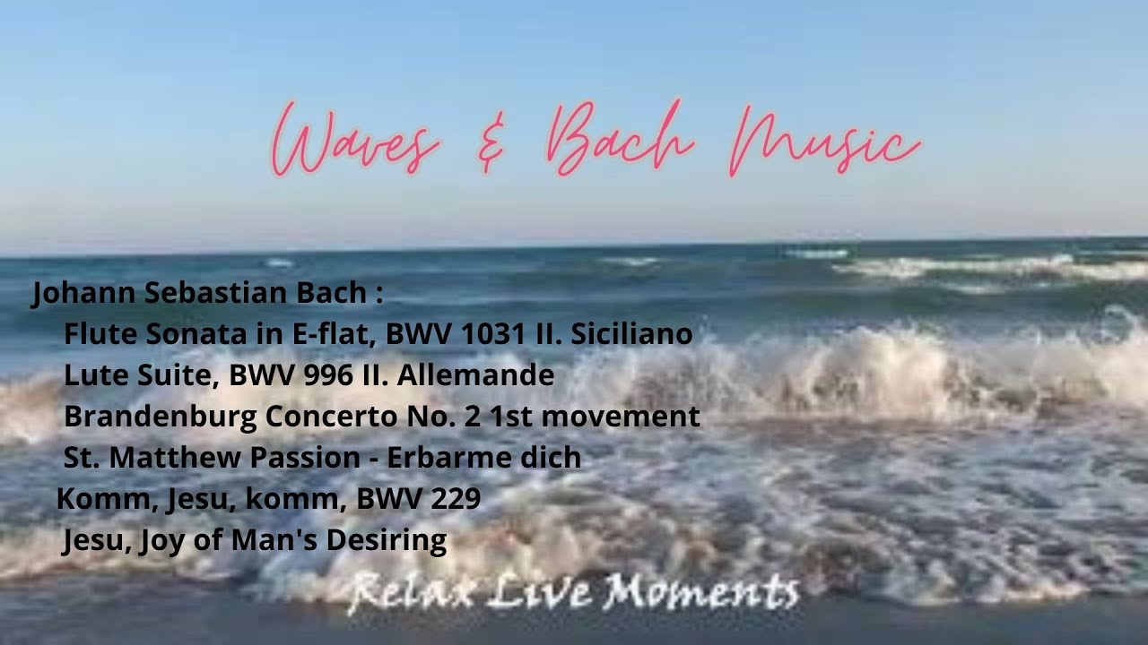 Bach and Waves for Reading | Relax Live Moments