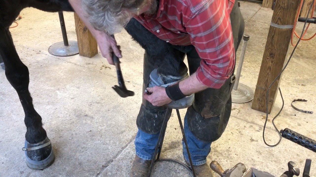 SHOEING BERETTA
