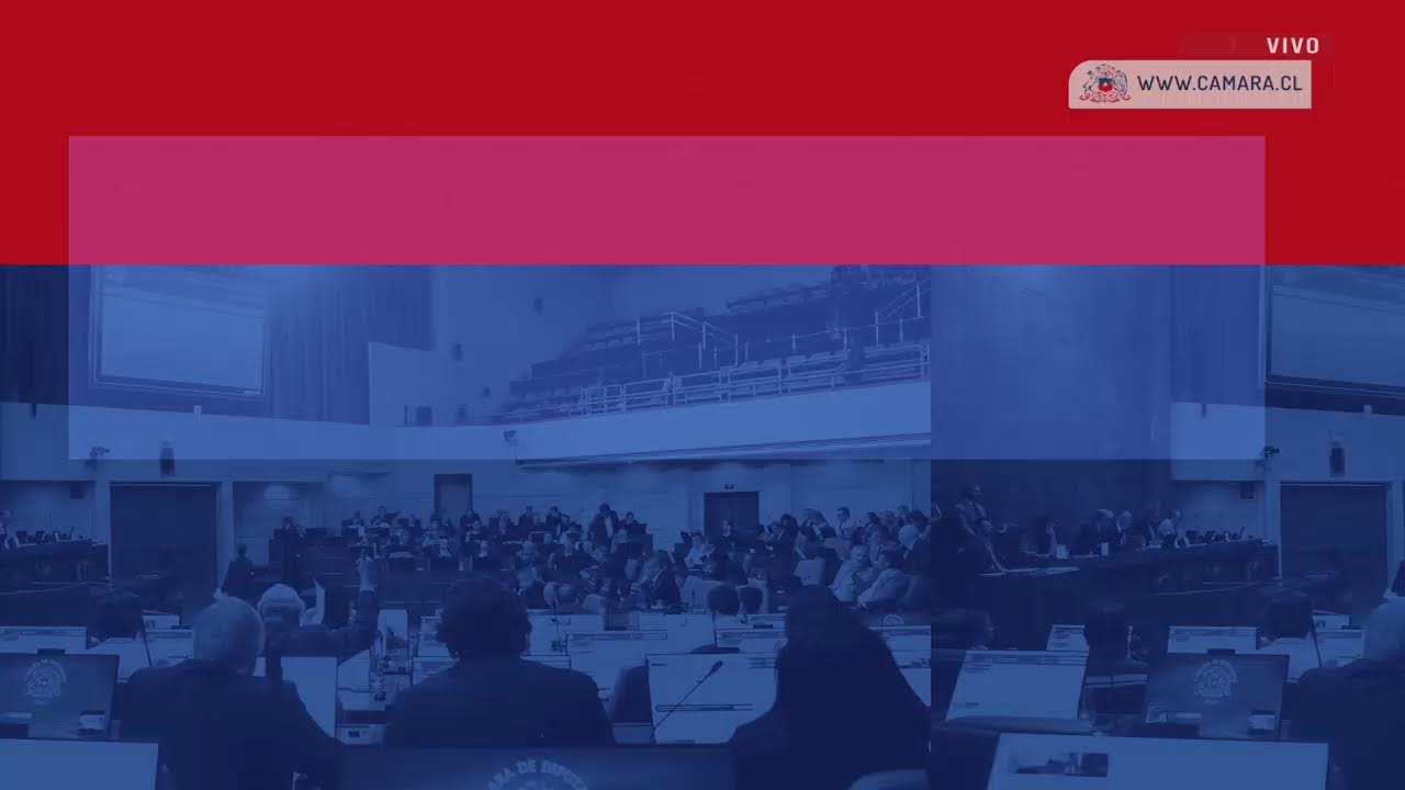 Emisi&oacute;n en directo de Diputadas y Diputados de Chile