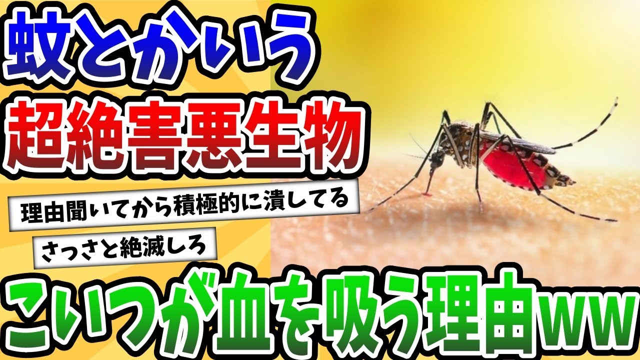 【2ch動物スレ】蚊とかいう超絶害悪生物にスレ民ブチギレwww→痒くしなければ血くらいくれてやるのにwww