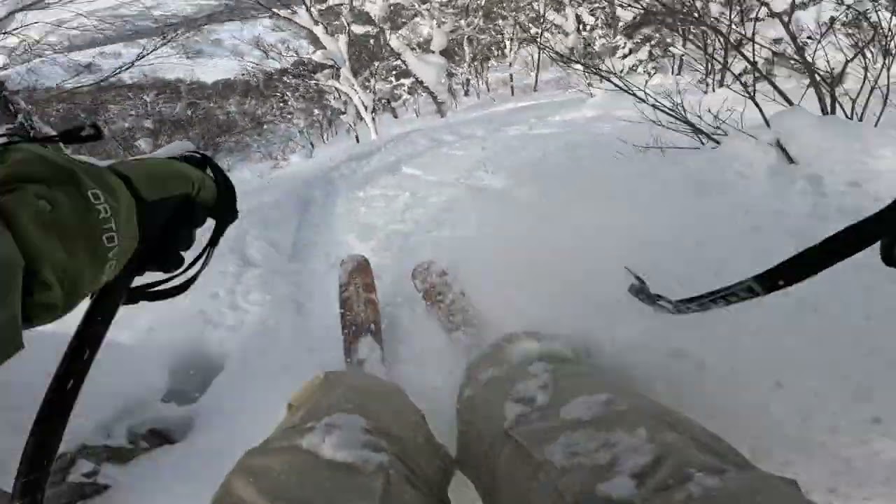 Japan Powder Ski GoPro edit 2026
