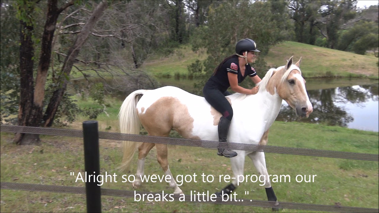 Trail Riding training with no gear. Goldrush & Alycia Burton