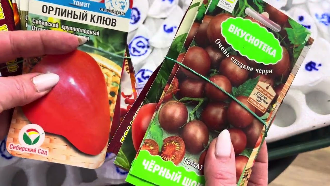 11 марта ПОРА СЕЯТЬ ТОМАТЫ!🍅КАКИЕ СОРТА ВЫБРАЛА И КАК Я СЕЮ, все покажу