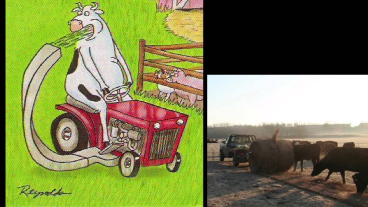 Lecture 2 pt 1: The Beef Production System in Texas