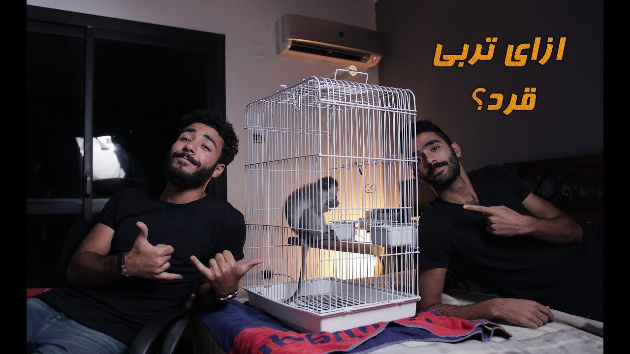 Episode 6 - ازاي تربي قرد فالبيت ؟