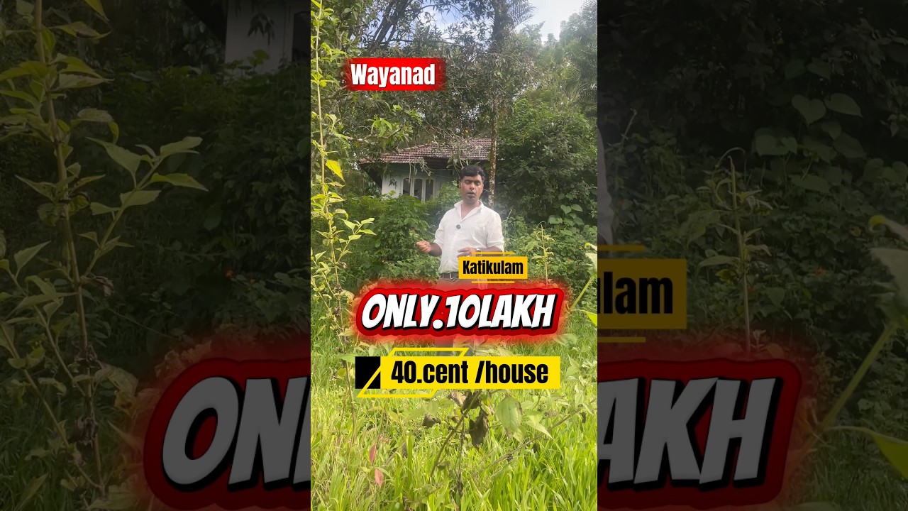 Wayanad Property | 40 Cent Land + House | Just ₹10 Lakh | Kattikulam | Kerala Real Estate 2025