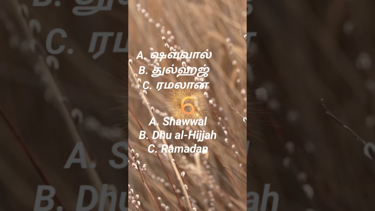 இஸ்லாமிய கேள்வி பதில்  இஸ்லாத்தை தெரிந்து கொள்வோம் 