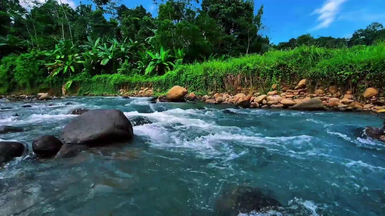 Serene River Sounds for Deep Sleep 🌙 Relaxing Flowing Water for Study & Meditation