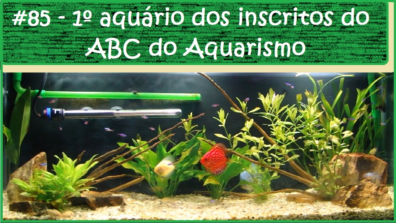 1&ordm; Aqu&aacute;rio dos Inscritos do ABC do Aquarismo