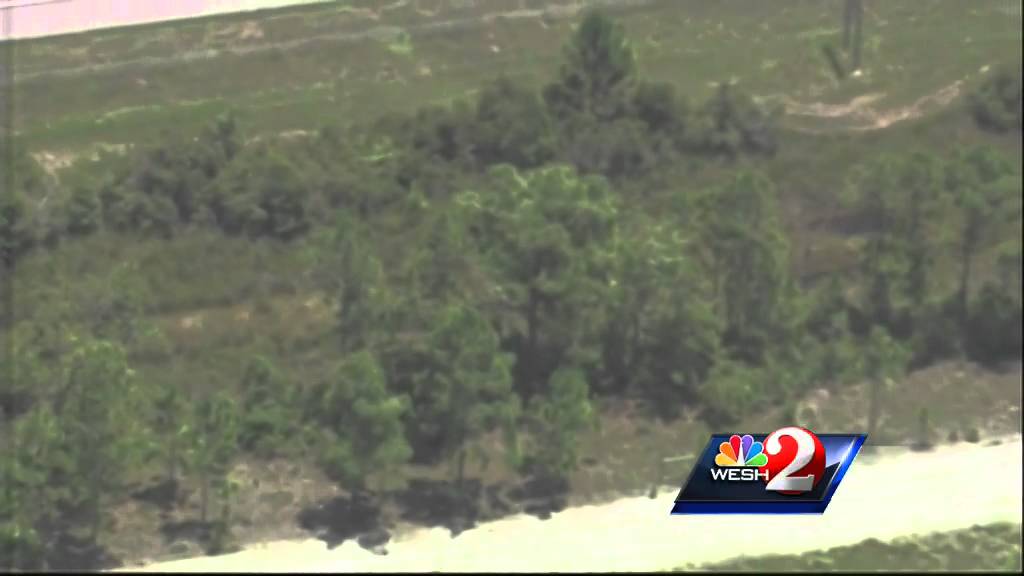 Raw video: K-9 chases down suspect during police chase