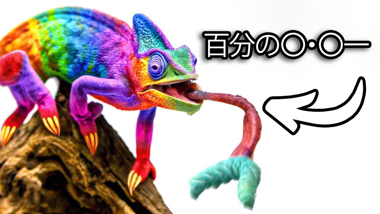 世界で一番珍しいペットのトカゲを手に入れた