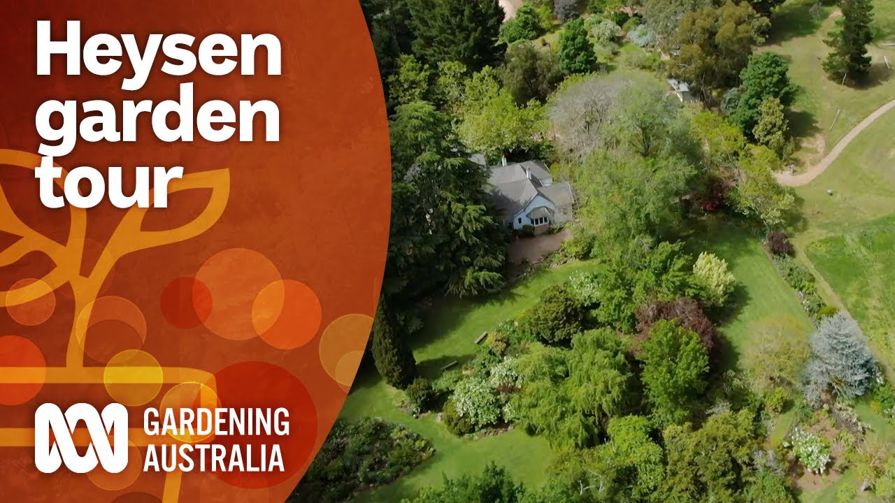 Exploring artist Hans Heysen's stunning garden | Garden Design and Inspiration | Gardening Australia