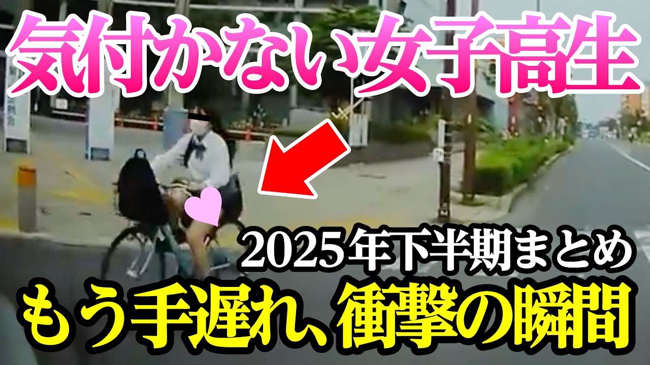 【2025年 下半期まとめ①】追い越し妨害した結果、最高にスッキリする瞬間【閲覧注意】交通事故・危険運転 衝撃の瞬間【451】