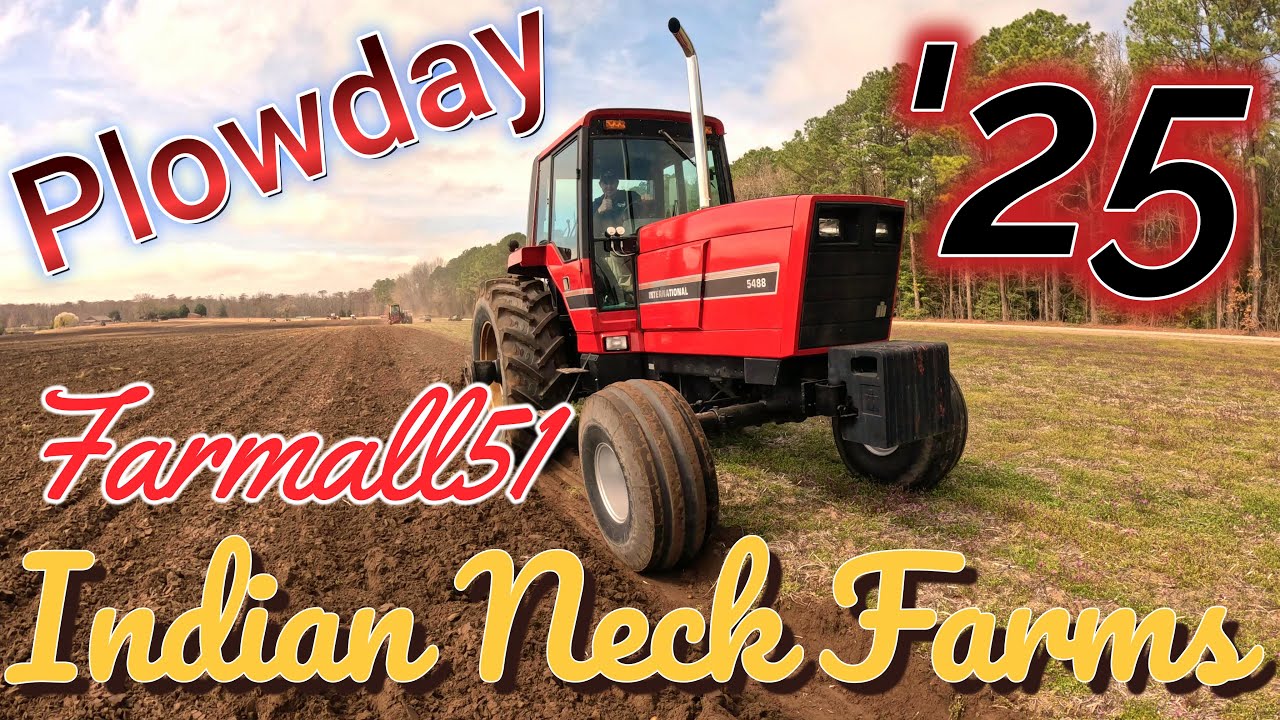 Indian Neck Farms Plowday #farmall51 #plowday #tractor