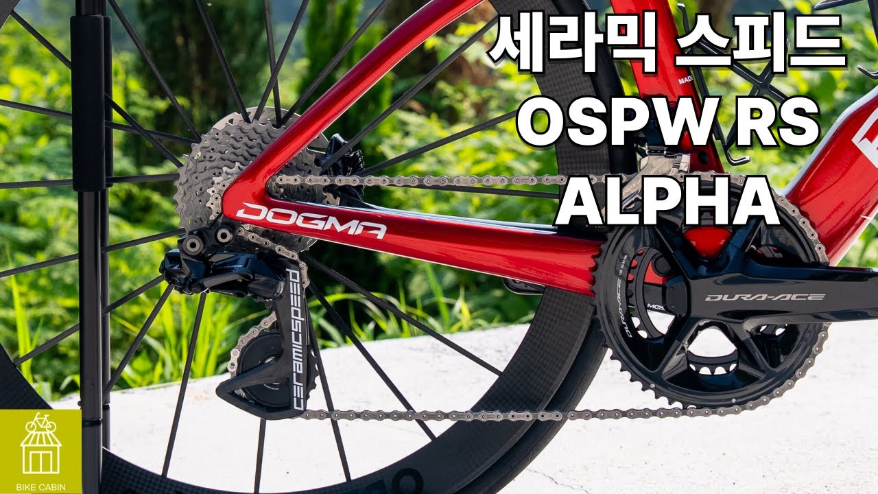 세라믹스피드 OSPW RS ALPHA Team Logo / Ceramic Speed OSPW RS ALPHA Team Logo / 세라믹스피드 빅풀리작업