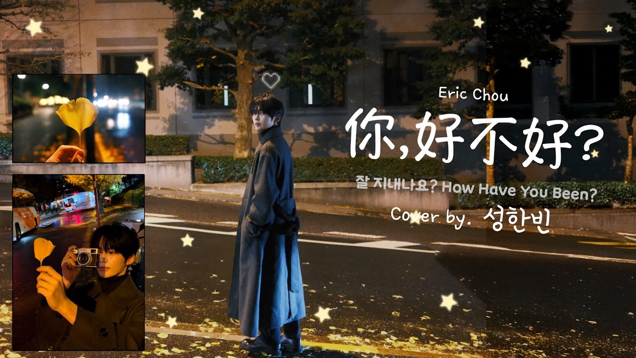 성한빈 你好不好(니하오부하오, Eric Chou) Cover (가사 포함)