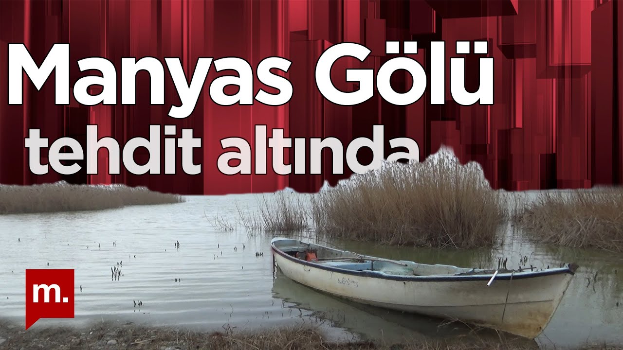 Türkiye'nin tehdit altındaki gölleri (4) - Manyas: Balık yok, kuşlar uçmuyor