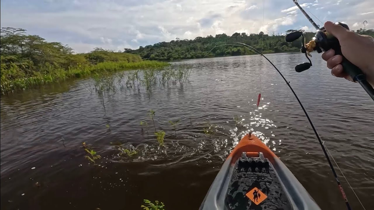 FALTOU VARA PARA TANTO PEIXE, Pescaria de Tucunaré