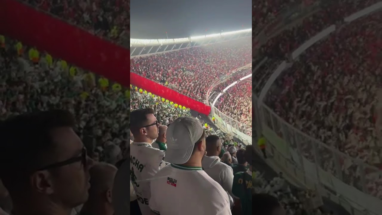 El MONUMENTAL visto desde la hinchada de Palmeiras 🔥😍 #riverplate #copalibertadores #monumental