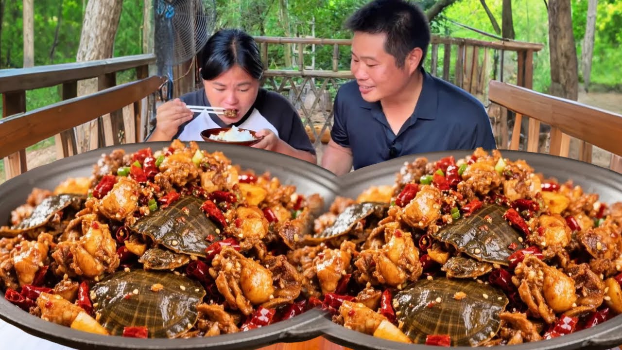 🤩绝了！甲鱼焖土鸡，滑嫩甲鱼配紧实土鸡，香到灵魂出窍！