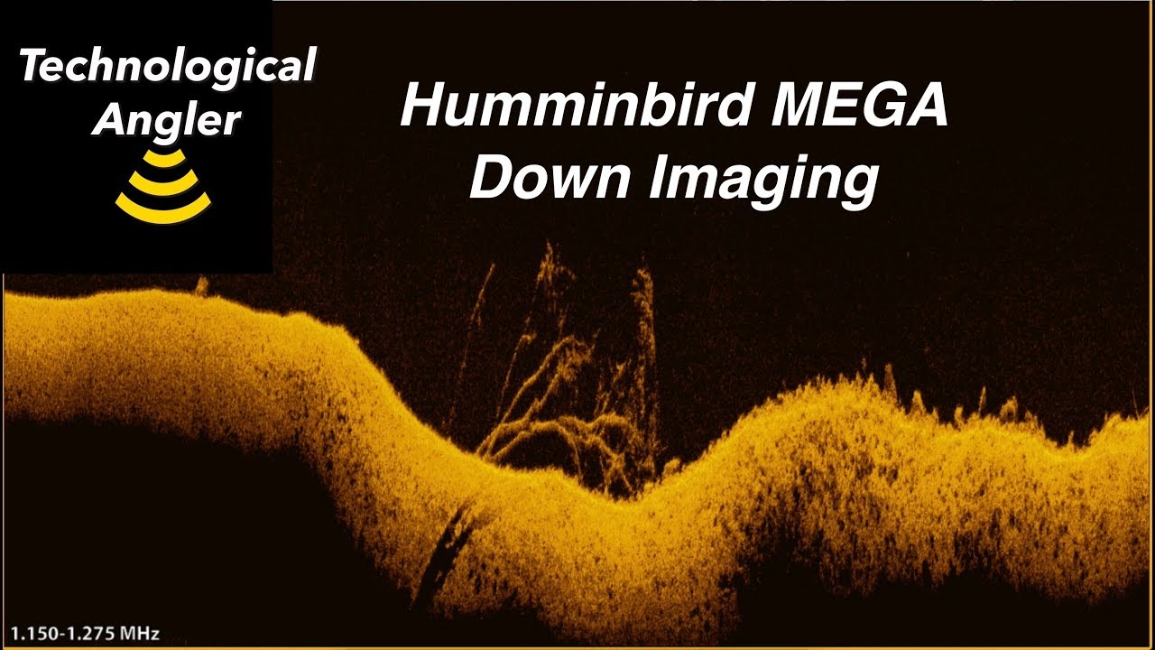 MEGA Down Imaging | Технологичный рыболов
