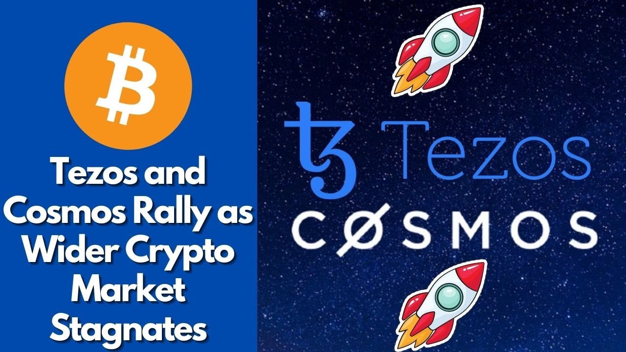 Tezos and Cosmos Rally as Wider Crypto Market Stagnates | bitcoin news | crypto news