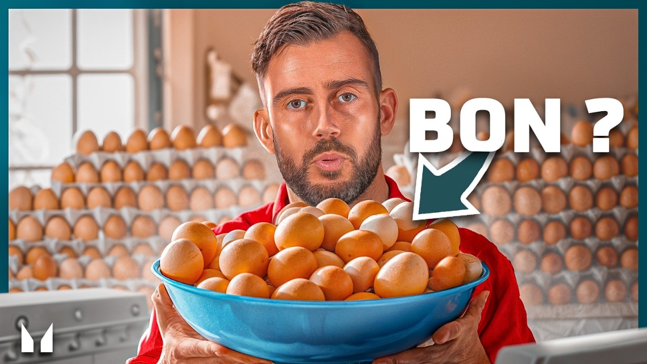 QUE SE PASSERA-t-il si vous MANGEZ des OEUFS tous les Jours ?
