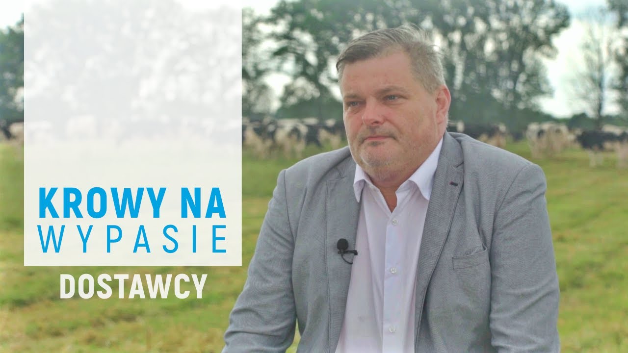 Dostawcy odc. 5 – krowy na wypasie